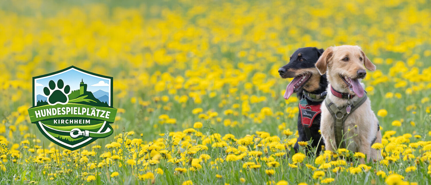 Hundespielplätze für Kirchheim